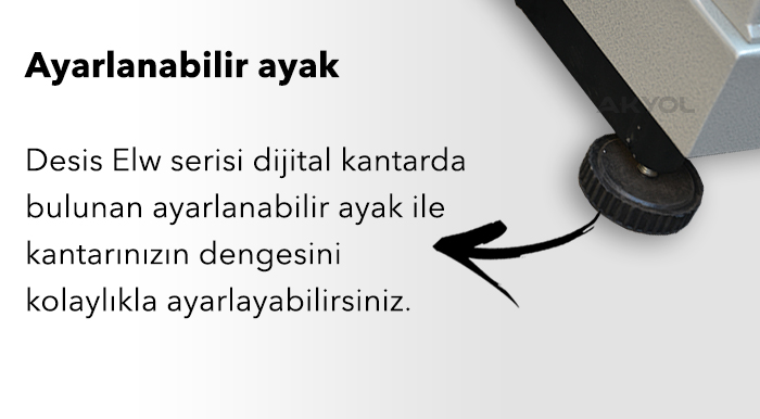 Desis ELW serisi kantar