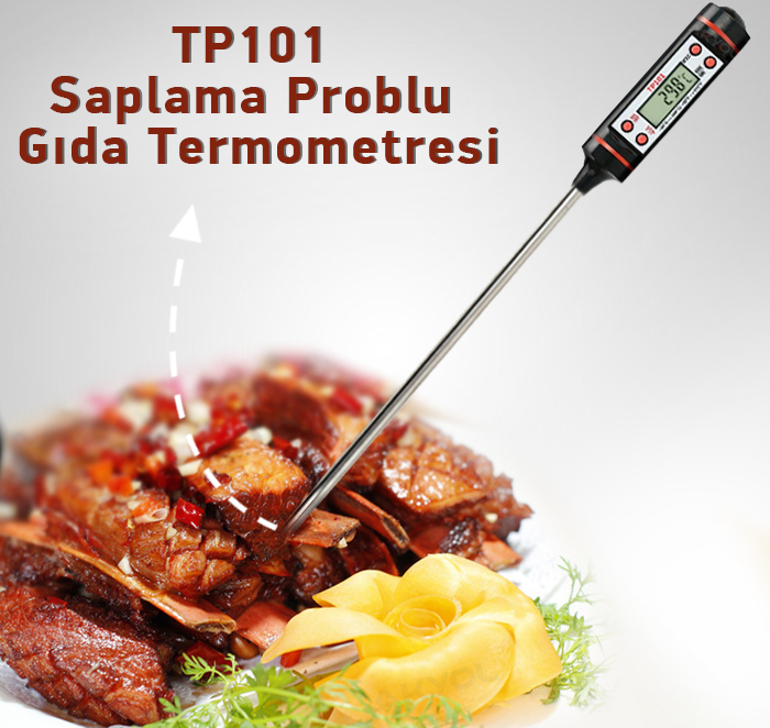 tp101 problu termometre